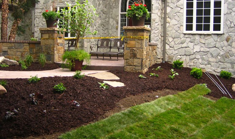 Landscaping – Trees, Shrubs and More